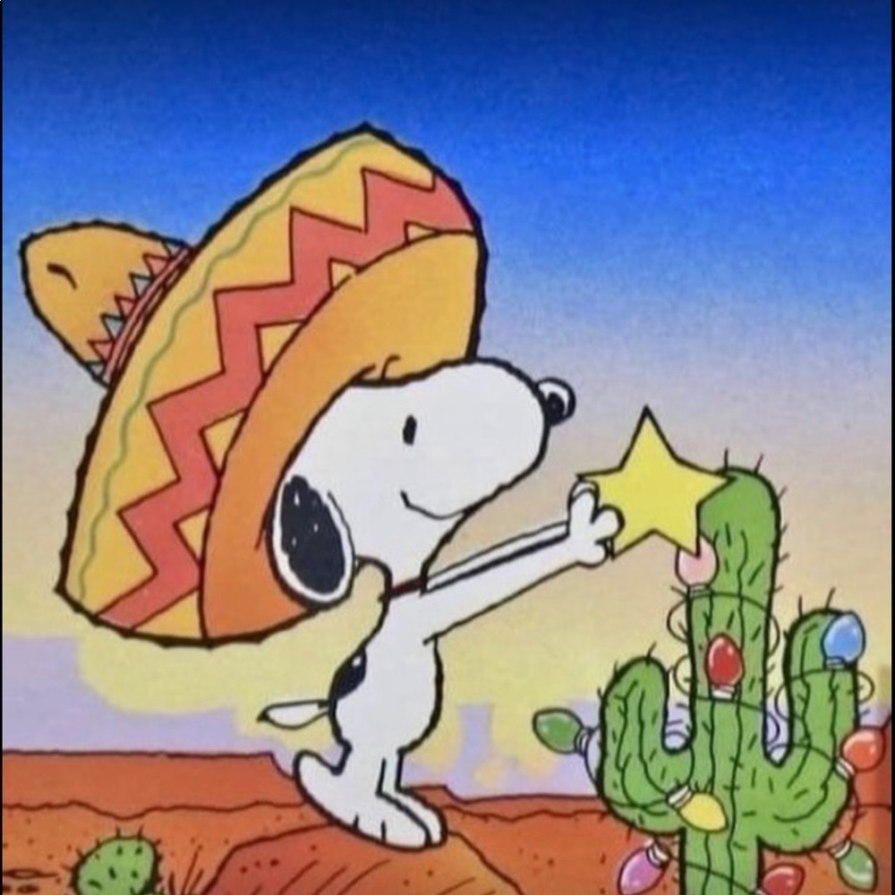 Meet your Posher, Karol